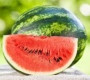 В Москве начали продавать арбузы